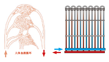 ?毛細(xì)管輻射空調(diào)系統(tǒng)效果好不好？毛細(xì)管輻射空調(diào)原理